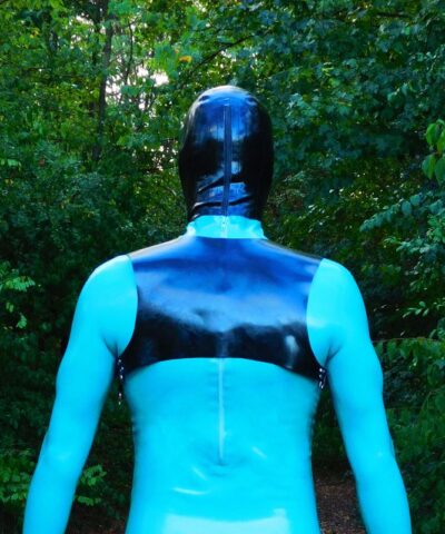 SHOULDER HARNESS